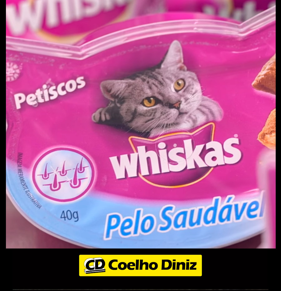 Mundo Pet: Alimentação dos Felinos