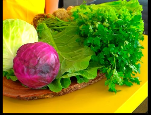 Quais as melhores folhas para fazer uma salada?
